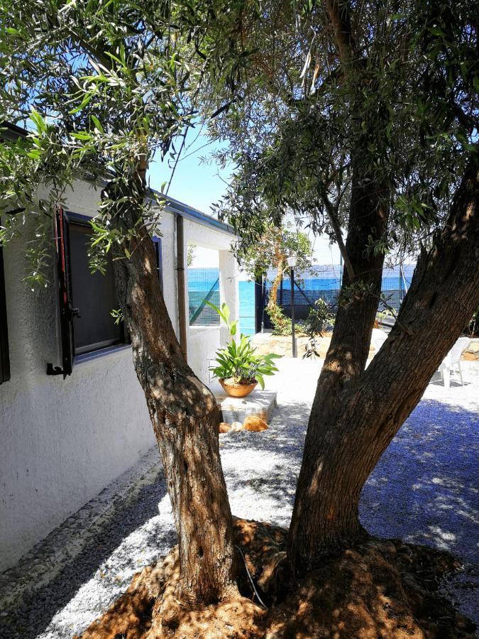 Villa La Plaja Чефалу Екстериор снимка